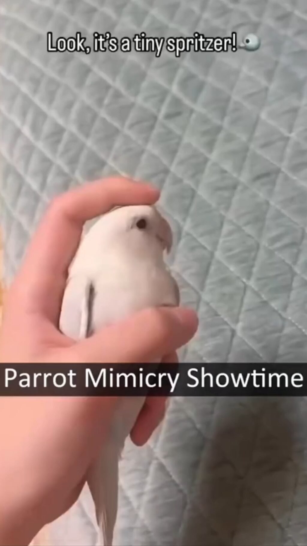 Instagram post from sprayme.ec. This post is in position 6.