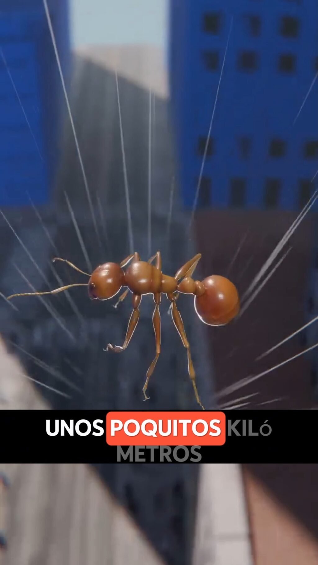 Instagram post from sprayme.ec. This post is in position 5.